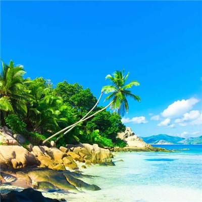 今天买什么特马